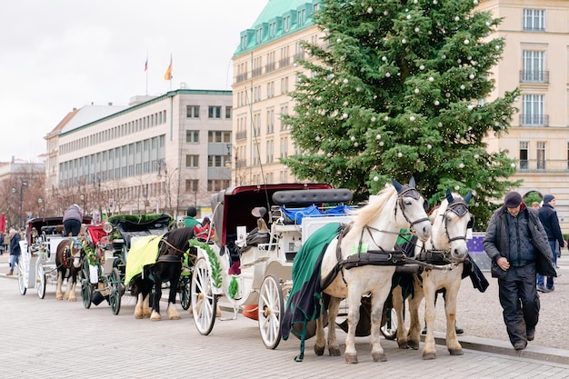 Berlin, Duitsland - 8 December 2017: Koets met paarden in Pariser Platz bij Brandenburger Tor en straat met kerstboom in het Duitse stadscentrum in Berlijn in Duitsland in Europa. Brandenburger Tor