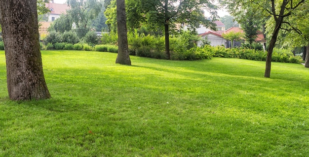 Bernardine gardens park in the center of vilnius