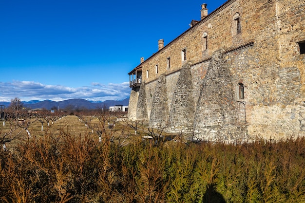 Foto beroemd alaverdi-klooster in de regio kakheti