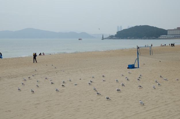 Beroemd haeundae-strand in busan, zuid-korea