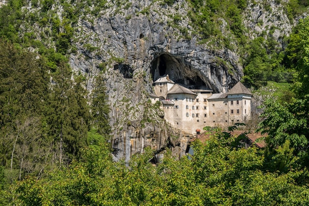 Beroemd kasteel van Predjama ingebouwd in een grot in de bergen in Slovenië