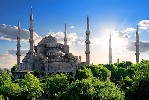 Beroemde Blauwe Moskee op zonnige zomerdag in Istanbul, Turkije