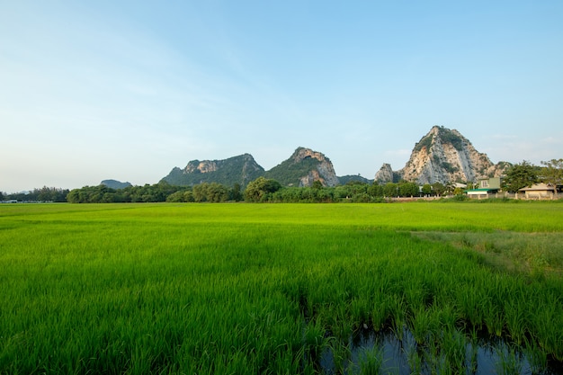 Beroemde kalksteenrotsen in Ratchaburi-provincie, Thailand