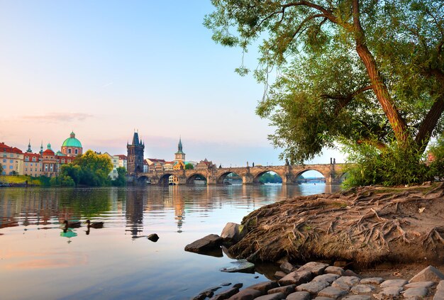 Beroemde Karelsbrug in Praag bij dageraad