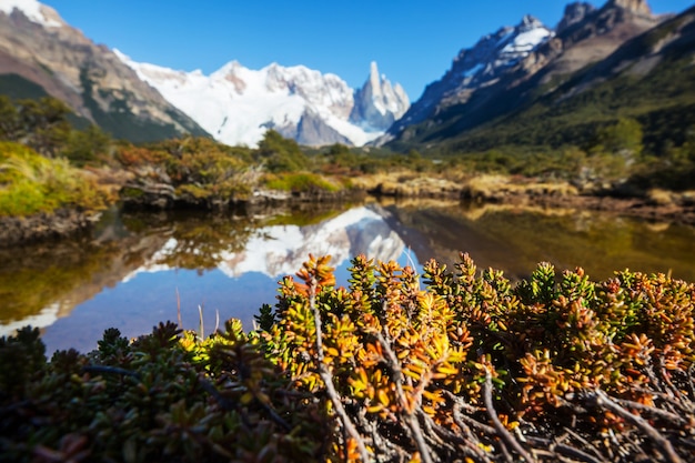 Beroemde mooie piek Cerro Torre in de bergen van Patagonië, Argentinië. Prachtige berglandschappen in Zuid-Amerika.