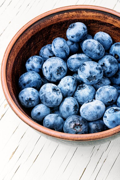 Berries blueberries or bilberry