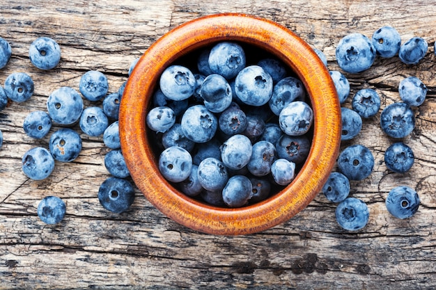 Berries blueberries or bilberry