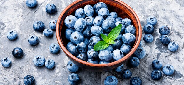 Berries blueberries or bilberry