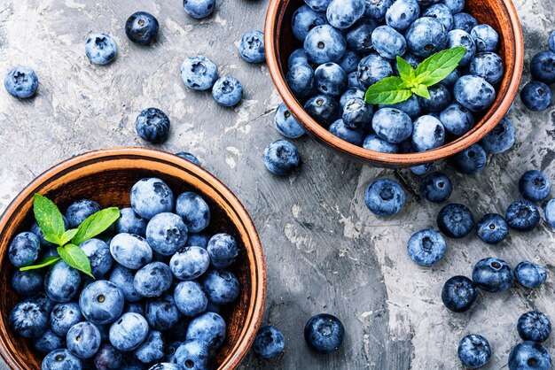 Berries blueberries or bilberry