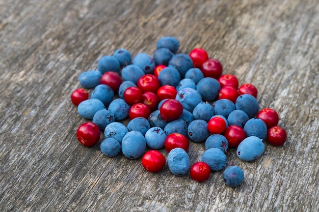 Berries of blueberries and cowberry. Top veiw