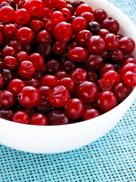 Berries of cranberries in a white bowl