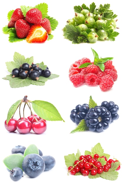 Berries fruit