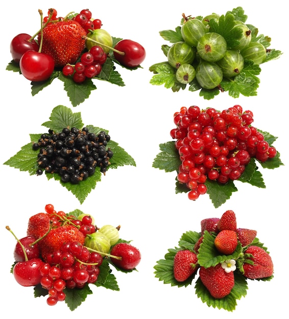 Berries fruits