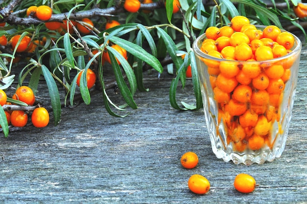 Berries and leaves of sea-buckthorn on a wooden background. The harvest of sea-buckthorn.