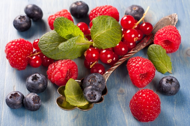 Berries mix with mint