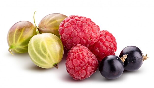 Berries (raspberry, blackcurrant, blackberry, gooseberry) isolated on white background.