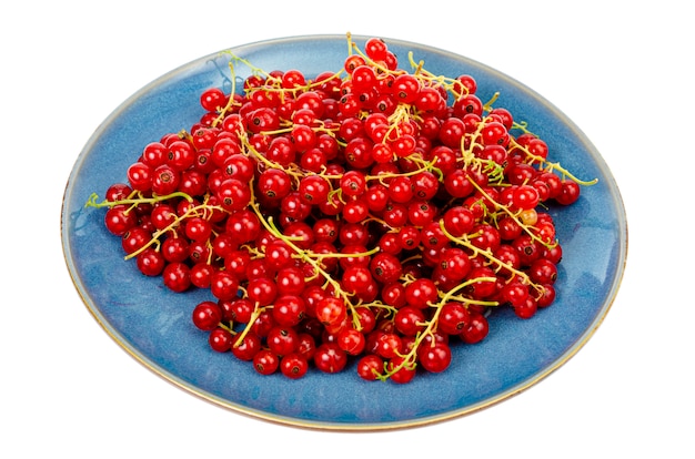 Berries. Red currants on blue plate. Vegetarian menu. Studio Photo