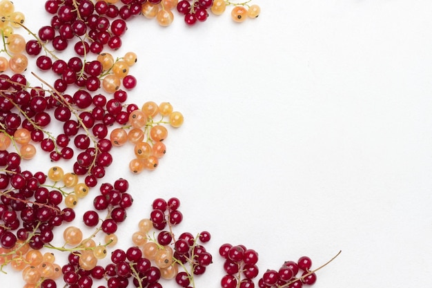 Berries of red and white currants. Berry background. Flat lay. Copy space. White background.