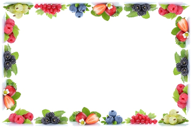 Foto bacche fragole mirtilli cornice frutti di bosco copia spazio copyspace