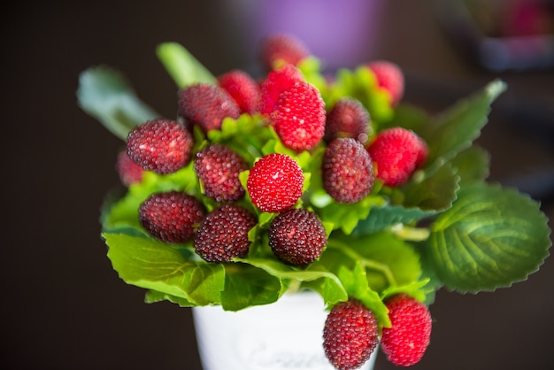 Berries used to decorate