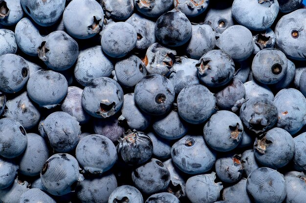 Berry background Just picked blueberries in closeup