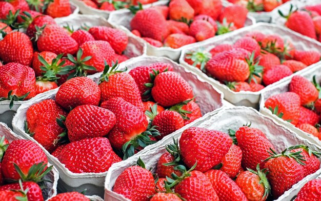 Berry bliss succulent strawberries bursting with flavor perfect for sweet treats