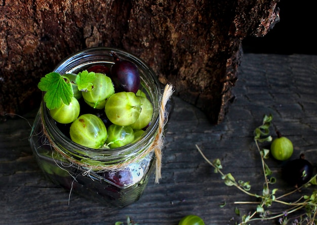 Berry gooseberries summer