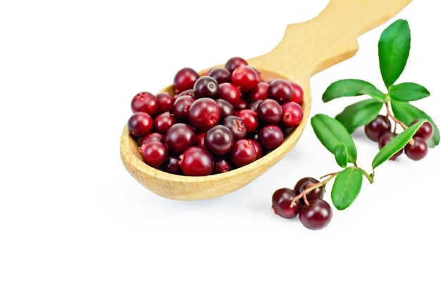 Berry lingonberry in a wooden spoon, two branches with berries and green leaves isolated on white background