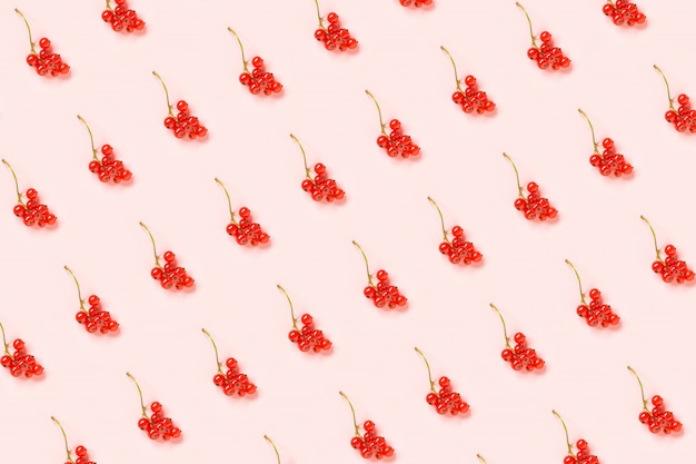 Berry pattern. Twigs of red currant berry on pink paper background.