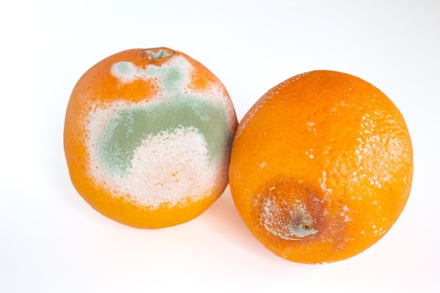 Beschimmeld oranje fruit dat op witte achtergrond wordt geïsoleerd. Meeldauw bedekt voedsel.
