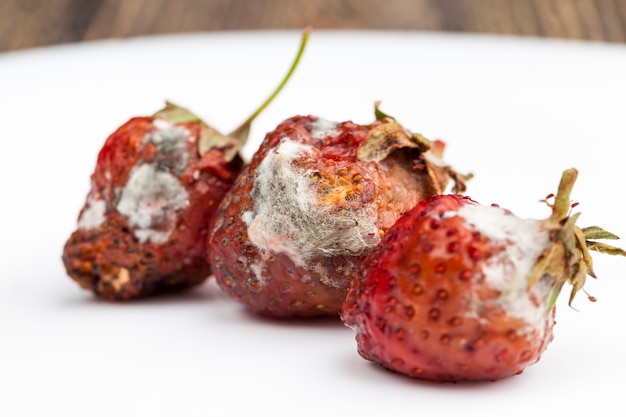 Foto beschimmelde rottende rode aardbeien close-up