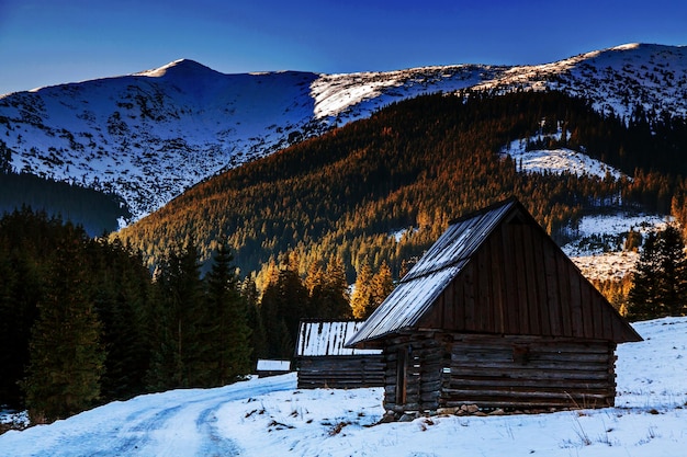 Besneeuwd berglandschap met houten huisschuilplaats