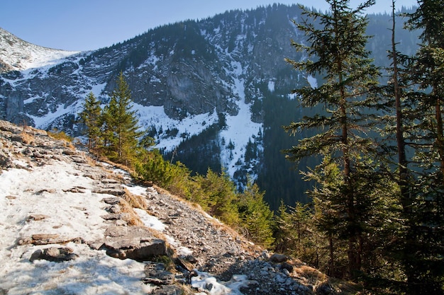 Besneeuwd berglandschap met rotspad