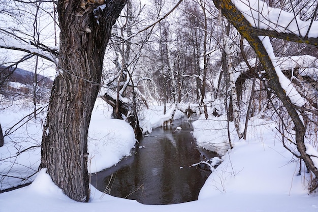 Besneeuwd landschap met een niet-bevroren rivier en bomen