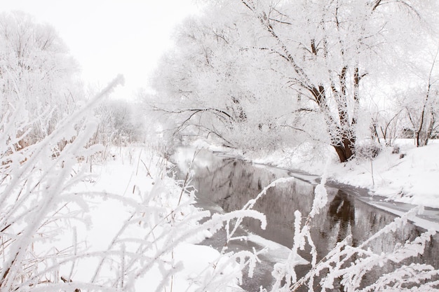 Besneeuwd landschap van open plekken in de buurt van het sneeuwweer van de rivier