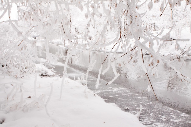 Besneeuwd landschap van open plekken in de buurt van het sneeuwweer van de rivier