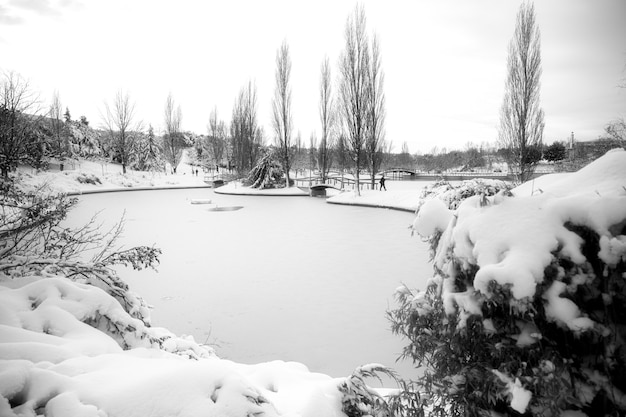 besneeuwd parklandschap