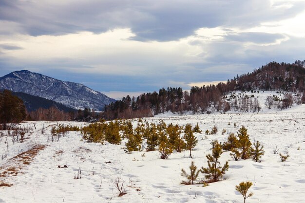 Besneeuwd winterlandschap Altai-gebergte