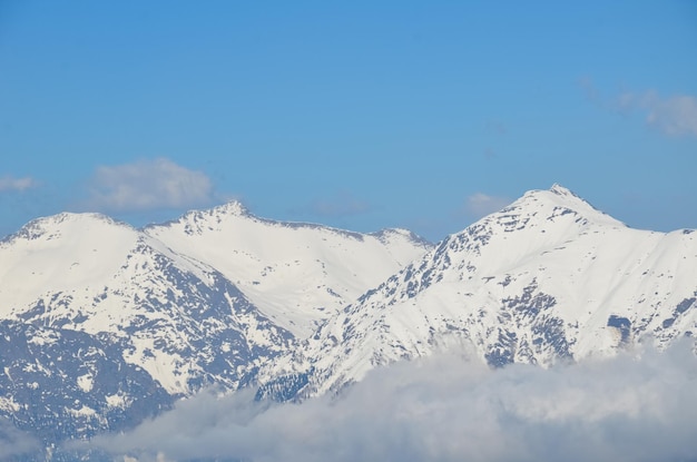 Besneeuwd winterlandschap van een skigebiedpanoramisch uitzicht