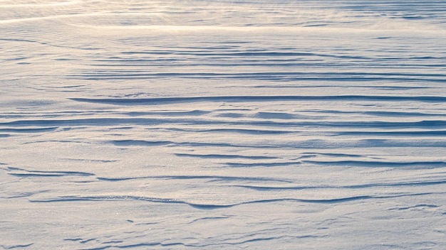 Besneeuwde achtergrond, besneeuwde oppervlakte van de aarde na een sneeuwstorm in de ochtend in het zonlicht met verschillende lagen sneeuw