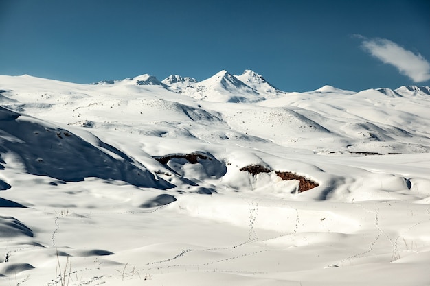 Besneeuwde berg Aragats in Armenië onder hemel