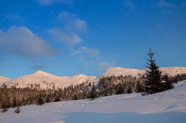 Besneeuwde berg van Marmaros bereik De Karpaten