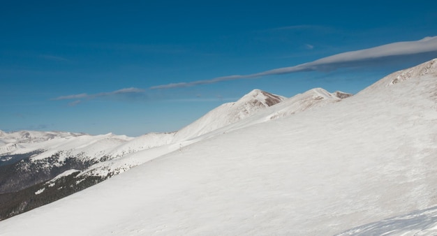 Besneeuwde bergen in Berthoud Pass, Colorado.