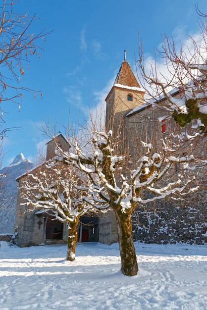 Besneeuwde bomen voor het kasteel van Gruyeres in Zwitserland op een mooie winterdag.