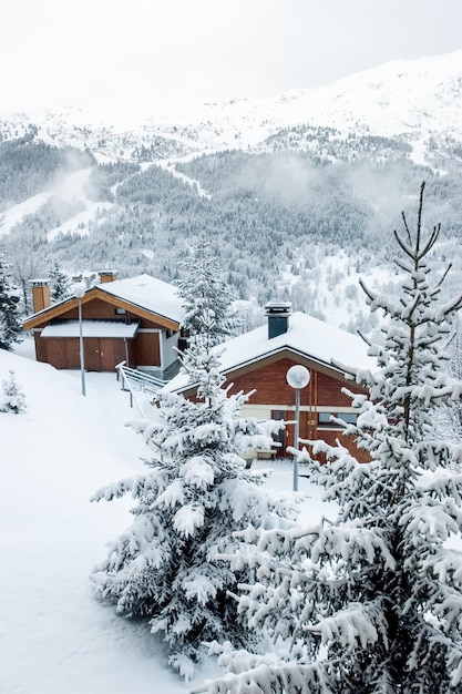 Besneeuwde chalets in alpine skiresort