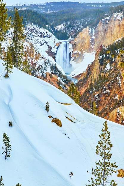 Besneeuwde hellingen bij canyon van Yellowstone Upper Falls