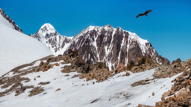 Besneeuwde hooggelegen plateau. Panoramisch alpenlandschap met besneeuwde bergtop en scherpe rotsen onder de blauwe hemel. Kleurrijk zonnig berglandschap met sneeuwbergtop.