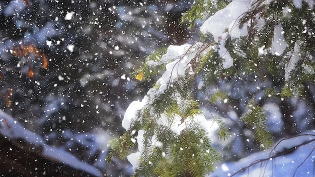 besneeuwde kerst winterlandschap