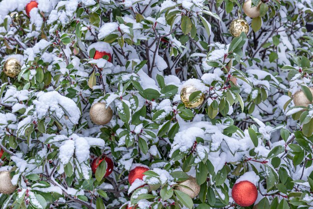 Besneeuwde kerstboom versierd met gouden en rode kerstballen