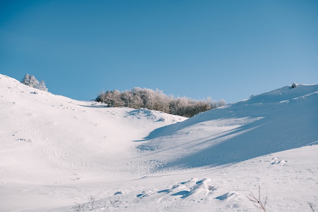 Besneeuwde kloof in de bergen Besneeuwde bossen in een ravijn in het noorden van Montenegro in de